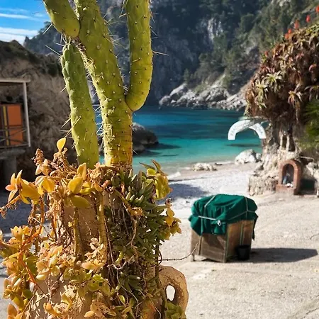Syrenide Sul Mare Casa vacanze Capri